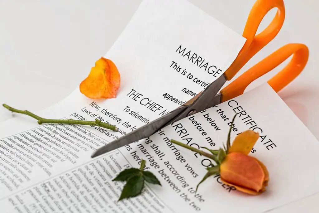 This image shows a marriage certificate and a rose being cut in half. This image was used in the article, My Girlfriend Doesn't Want To Get Married (10 Reasons Why) 