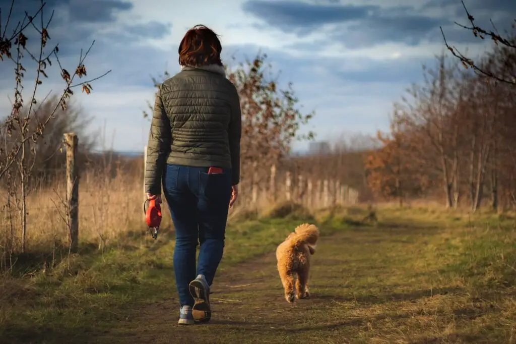 This image shows a woman walking her dog. It's used for the article "What to do when your boyfriend cheats on you but you still love him" 